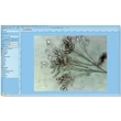 Kép 4/4 - KERN OBE 124C825 biológiai digitális mikroszkóp kamerával 40x/100x/400x nagyítás, állítható asztal, állítható fényerejű 3 W-os LED alsó megvilágítás, trinokuláris, szoftver