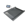 Kép 1/4 - KERN NFB 1.5T0.5M (1500kg/0,5kg) IP67 1000x1000mm szuperlapos rámpás lapmérleg átgurulós méréshez 3évG