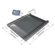 Kép 2/4 - KERN NFB 1.5T0.5M (1500kg/0,5kg) IP67 1000x1000mm szuperlapos rámpás lapmérleg átgurulós méréshez 3évG