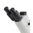Kép 6/7 - KERN OCM 161 inverz fázis kontrasztos biológiai mikroszkóp 100x/200x/400x nagyítás, végtelen optikai egység, állítható asztal, állítható fényerejű 30 W-os Philips halogén alsó megvilágítás, trinokuláris
