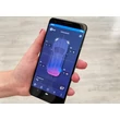 Kép 2/10 - Cartesy SUB-2020 vevőegység és inno!weight® iOS, Android, PC szoftver 433 MHz és bluetooth összeköttetés, sok funkció